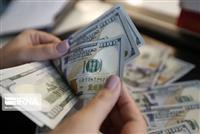 دولت می‌تواند پیامدهای حذف ناگهانی ارز ترجیحی را برطرف کند؟