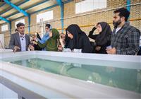 نانوآیروژل ایرانی؛ ناجی بحران ناترازی انرژی کشور