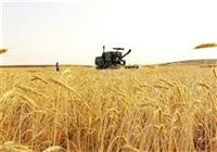 اجرای کامل قانون الزام با جدیت دنبال می‌شود