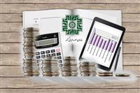   سبحانیان: مهلت ارائه اظهارنامه‌های مالیاتی تا پایان تابستان تمدید شد 