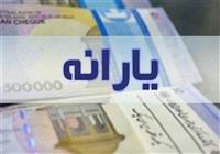  قطع یارانه۷۵۰هزار نفر/خوداظهاری یارانه را وصل می‌کند؟ 
