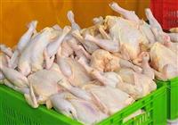 قیمت گوشت مرغ در بازار امروز/ برخورد جدی با گران‌فروشان 