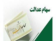 لجاجت با قانون در انتخابات سهام عدالت