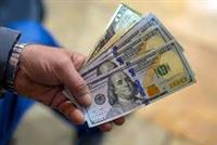 توقف معاملات «دلار تراولی» در بازار ارز