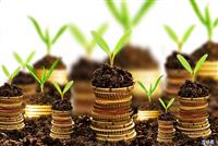 تأمین مالی آینده؛ پول برای رشد یا پول برای بقا؟