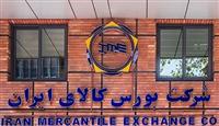 روند معاملات تالار فیزیکی بورس کالا در بهار ۱۴۰۵