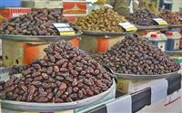پیش بینی برداشت ۳۴ هزار تن خرما از نخلستان های رودان