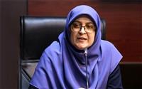  مهاجرانی: آرایش جدید دولت درباره مکانیسم ماشه و نگرانی از نوسان قیمت‌ها