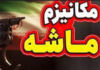 نگاه راهبردی ایران به شرق، لازمه توسعه در عصر پساماشه 27 مهر 1404 - 07:28  اقتصادی  اقتصاد ایران 