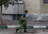 وزش باد شدید و احتمال طوفان گرد و خاک در تهران/ بارش باران و رعد و برق