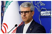 بقائی: ایران با یک تیم کامل سیاسی، حقوقی، اقتصادی و فنی در ژنو حاضر شده است