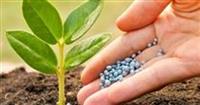 محصول جدید پتروشیمی غیر بورسی در سبد حمایتی دولت قرار گرفت