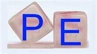 عضو جدید شورای عالی بورس کارشناس سهام و P/E شد و آینده را پیش بینی کرد!