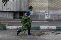 تداوم وزش باد شدید در تهران تا شنبه