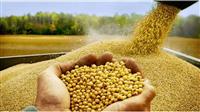 امنیت غذایی یا امنیت رانت؟؛تصمیم پرابهام جهاد کشاورزی
