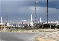 نرخ خوراک؛ متغیر پنهان سود پالایشی‌ها در بورس