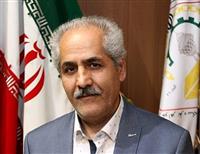 چرا سکه گران شد؟