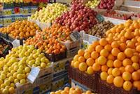 قیمت میوه و صیفی نوسانی ندارد