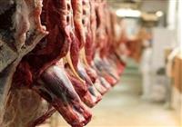 واردات گوشت گرم گوساله با نرخ مصوب 598 هزار تومان از پاکستان وبرزیل
