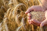 ضرب‌الاجل جهاد کشاورزی به ۱۲ استان برای صدور کد محصولات