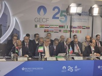 آغاز به کار نشست وزیران مجمع کشورهای صادرکننده گاز در مسکو