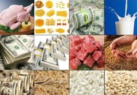 پشت‌پرده تصمیمات جدید واردات کالاهای اساسی