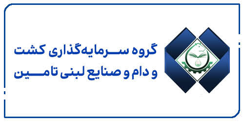 شروع مثبت «تادیکو» پس از عرضه اولیه/ شناسایی ۵۴ میلیارد تومان سود از فروش سرمایه‌گذاری‌ها در «تادیکو»