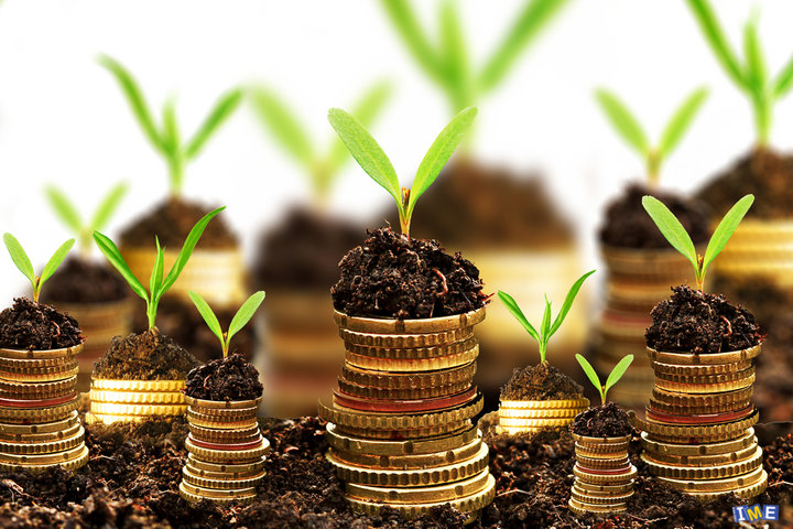 تأمین مالی آینده؛ پول برای رشد یا پول برای بقا؟